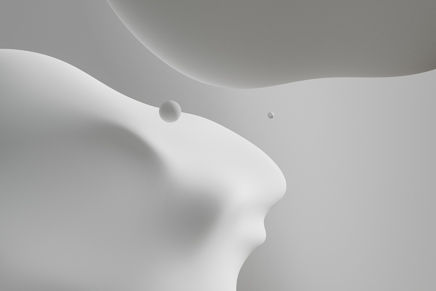 Simple Yet Striking: Photography in Focus